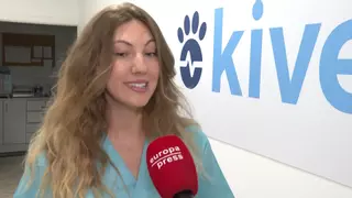 Mutxamel aplica una técnica pionera para esterilizar gatos callejeros en menos de tres minutos