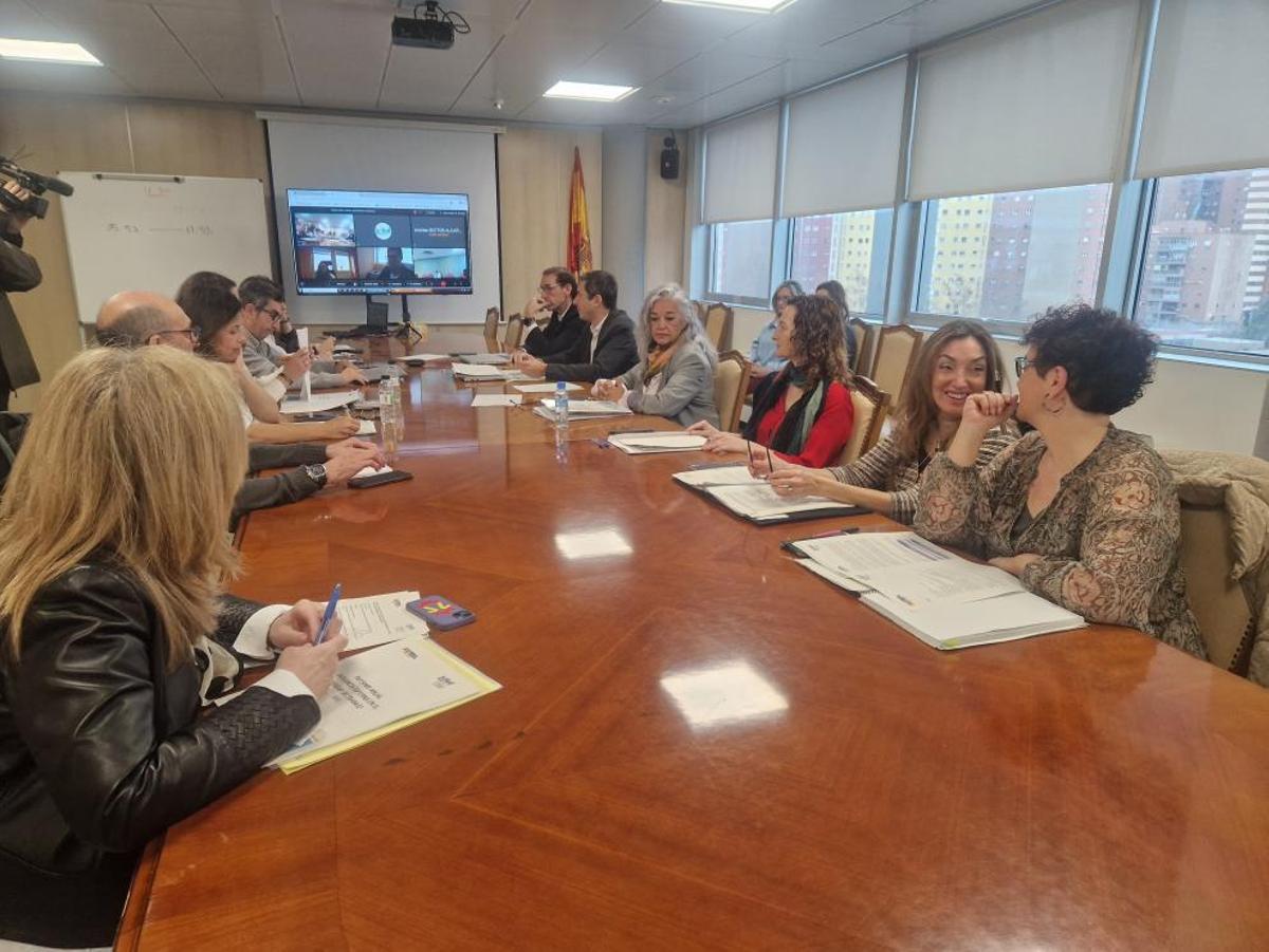 Reunión de la Mesa Técnica de Agresiones del Servicio Aragonés de Salud