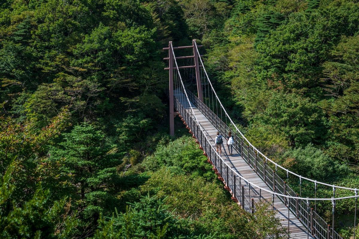 Jeju Olle, Camino santiago coreano