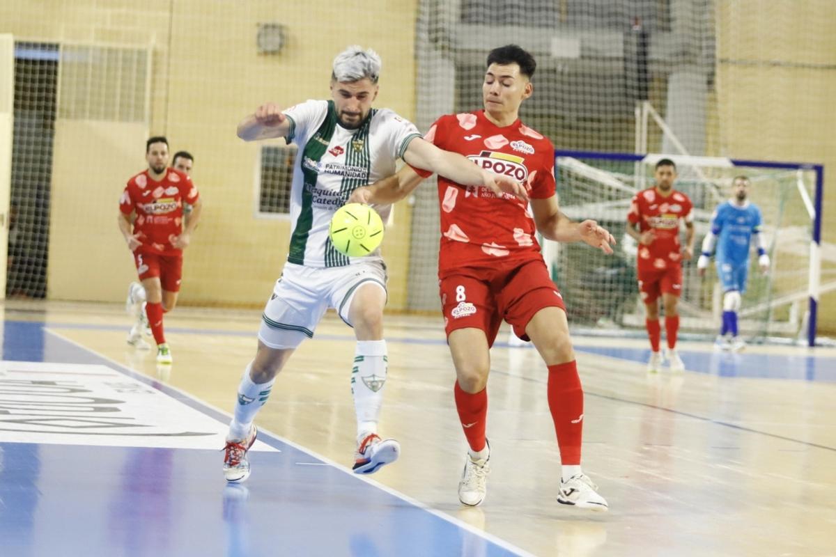 Córdoba Futsal-ElPozo Murcia | Las imágenes del partido en el Palacio Vista Alegre Córdoba Futsal-ElPozo Murcia | Las imágenes del partido en el Palacio Vista Alegre