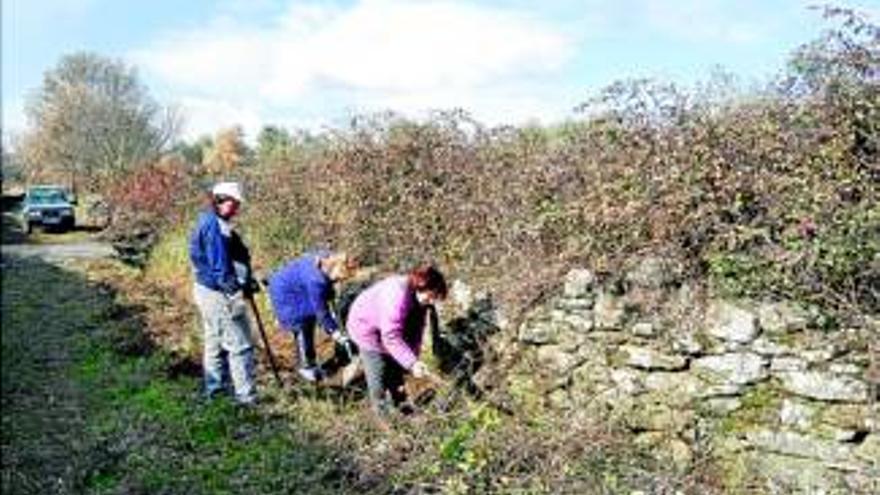 El Ayuntamiento de Plasencia contratará a 275 personas antes de final de año