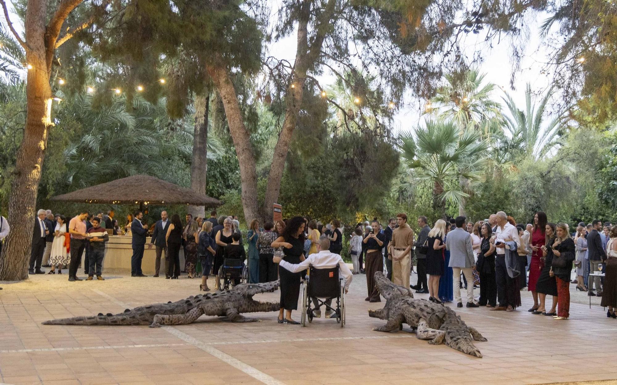 I Gala Solidaria de COCEMFE en Alicante