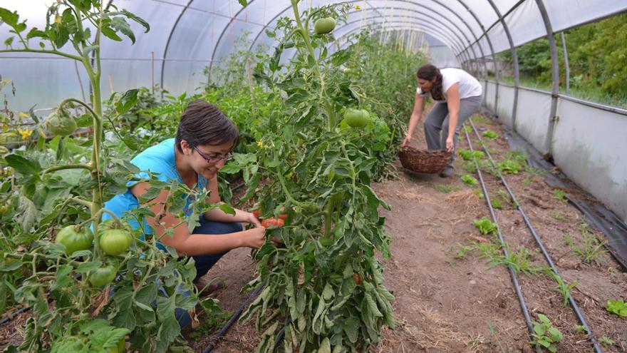 La comarca de Pontevedra suma cerca de 12.500 autónomos, más de un centenar inscritos el pasado marzo