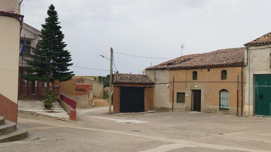 De cuidar animales a ser denunciada por abandonar a más de 40 perros en Zamora