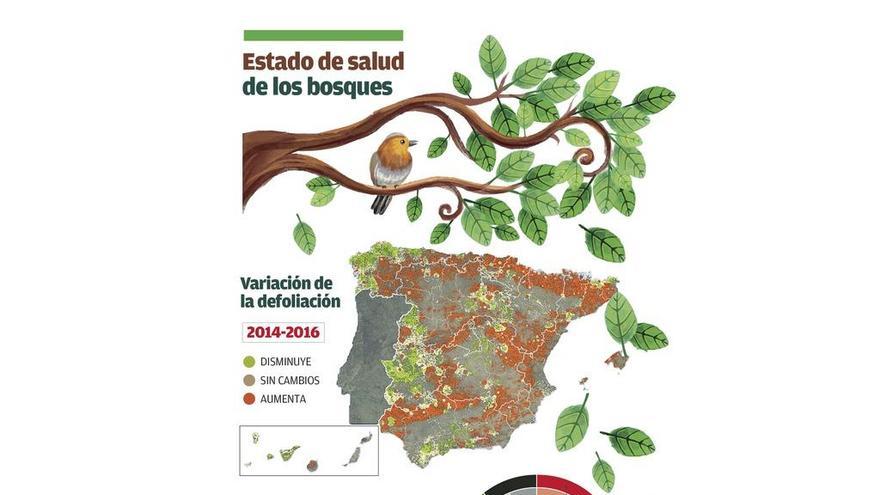 Casi 200.000 hectáreas de monte están en riesgo por culpa de plagas e incendios