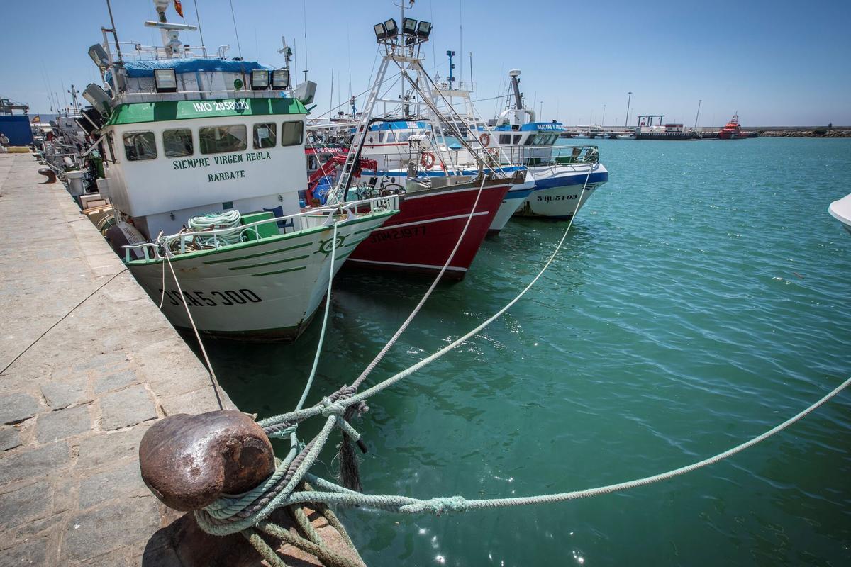 GRAF1452. BARBATE (CÁDIZ), 16/07/2018.- Los pesqueros que han quedado amarrados en el puerto de Barbate (Cádiz) al haber expirado el protocolo de pesca firmado entre Marruecos y la Unión Europea en 2014 aguardan con resignación este paro, a la espera de conocer las opciones de ayudas o trabajo que tendrán en tanto se firma un nuevo acuerdo. EFE/Román Ríos