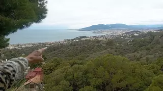 Málaga sigue adelante con la construcción de 285 chalés en Pinares de San Antón