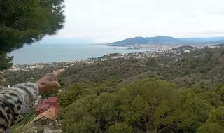 El Ayuntamiento de Málaga justifica 14 años sin contestar alegaciones en Pinares de San Antón