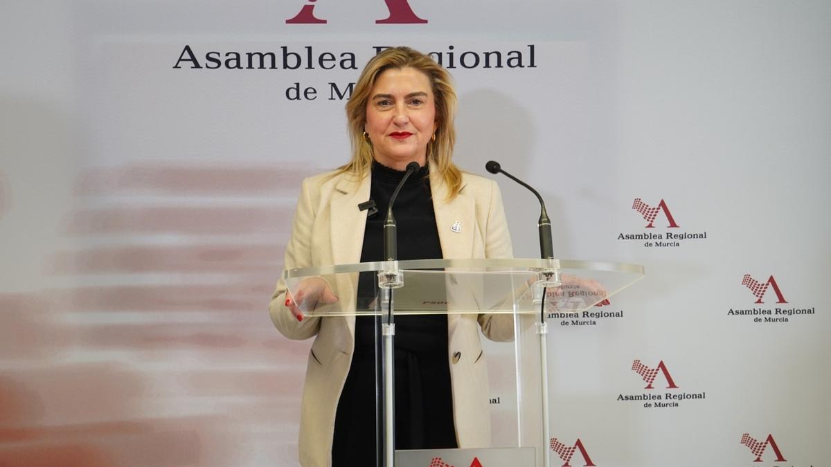 Carmina Fernández, portavoz socialista en la Asamblea.