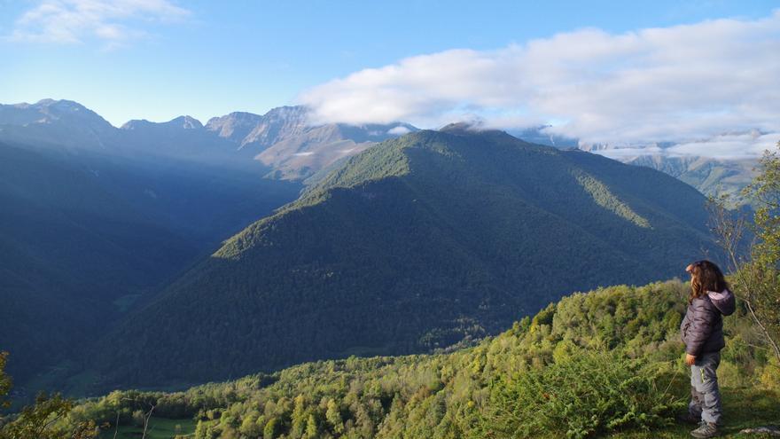 ¿Naturaleza o “ideologia clorofila”?