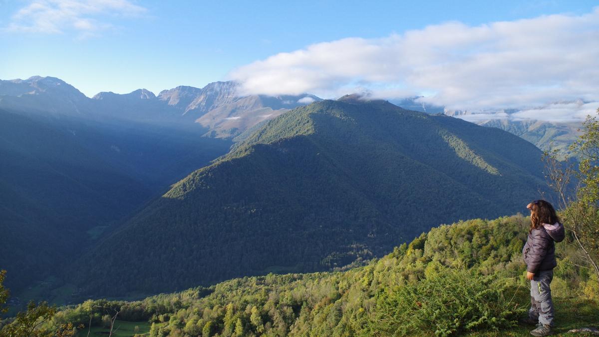 Las personas tienen cada vez menos contacto con la naturaleza