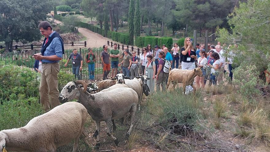 Experts de Solsona sumen esforços amb Europa per fer front als incendis forestals