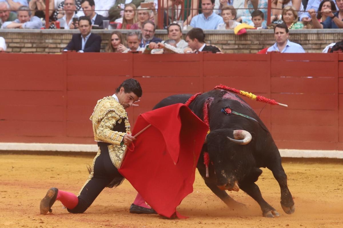 Última corrida de abono de la Feria Taurina de Córdoba, en imágenes Última corrida de abono de la Feria Taurina de Córdoba, en imágenes