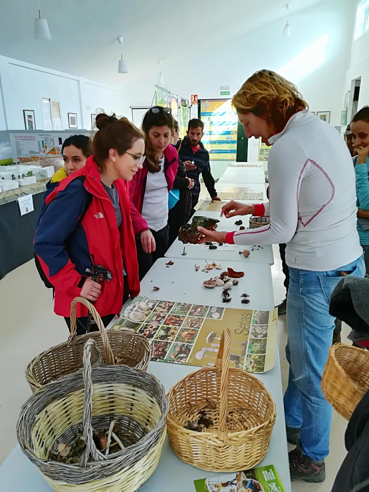 Una actividad relacionada con las setas organizada en Posadas.