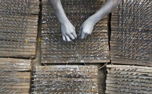 Las manos de un trabajador están cubiertas de pólvora. Elabora petardos en una fábrica en Kolkata