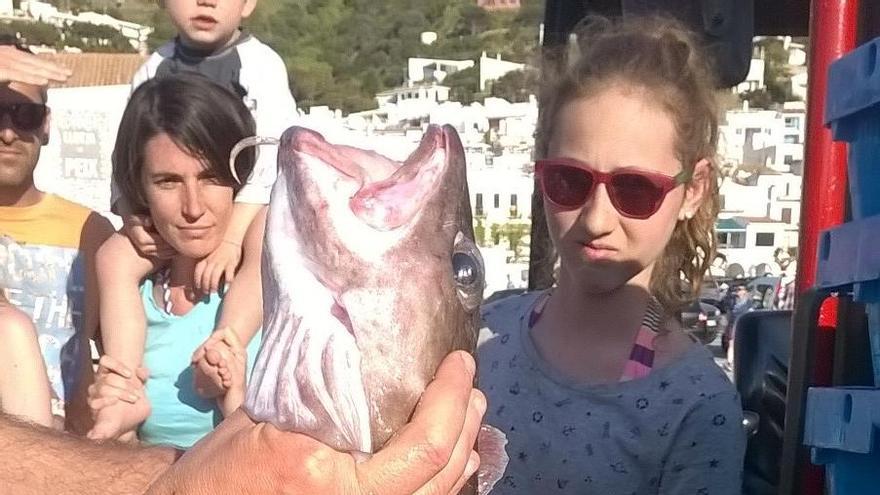 Capturen un peix al Port de la Selva que es creia gairebé extingit al cap de Creus