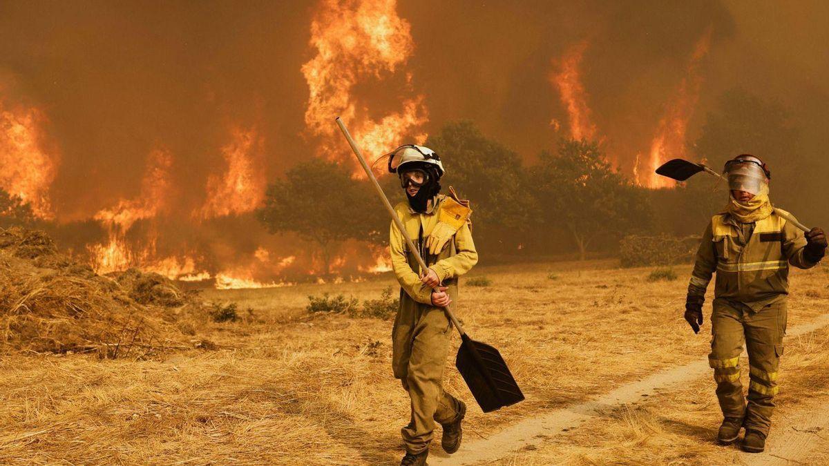 Dos brigadistas, este verano, en un incendio forestal en la localidad ourensana de Cualedro