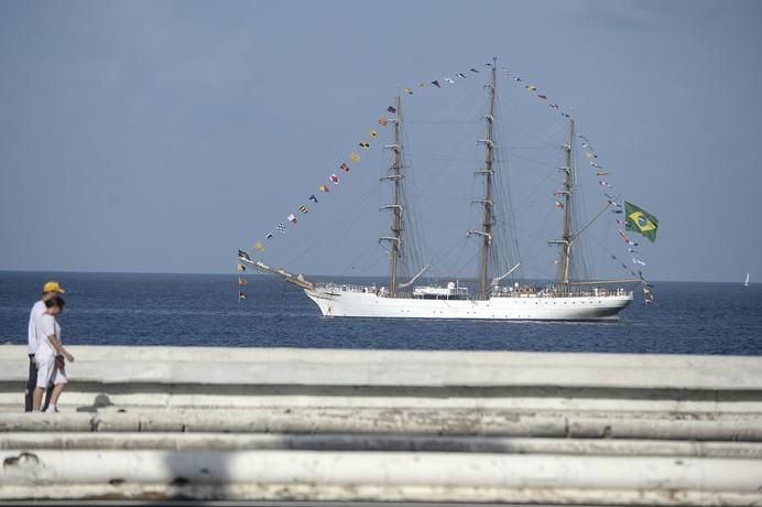 BARCO ESCUELA CISNE BRACO