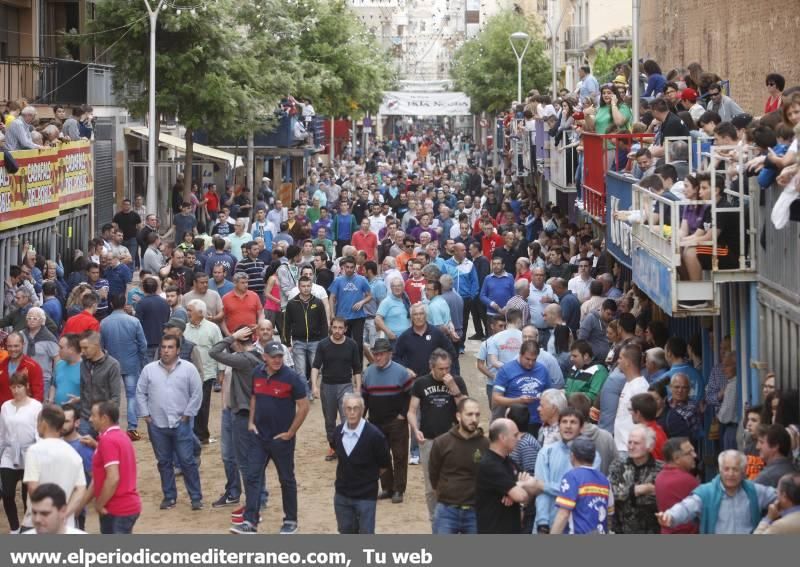 Bou per la vila en Vila-real