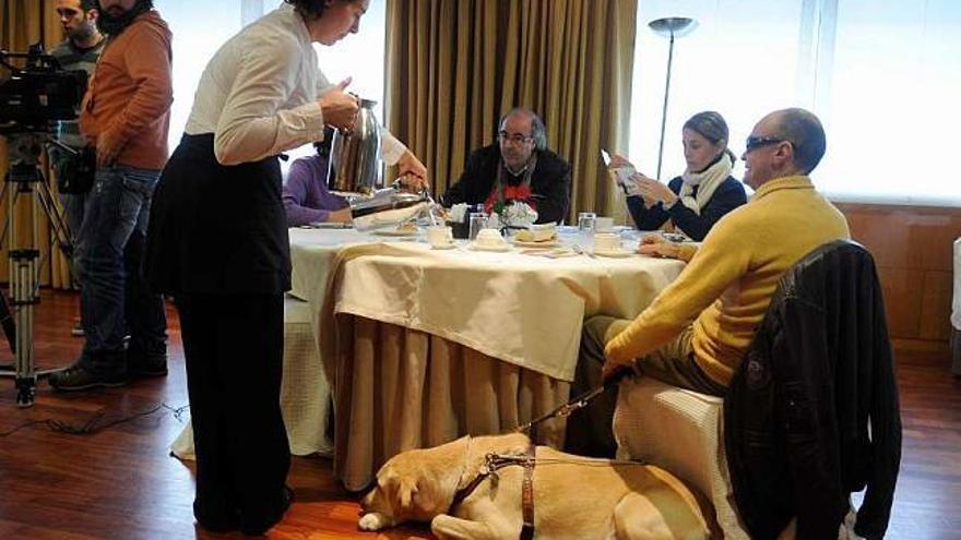 Un perro guía junto descansa junto a su dueño durante un desayuno de la ONCE.