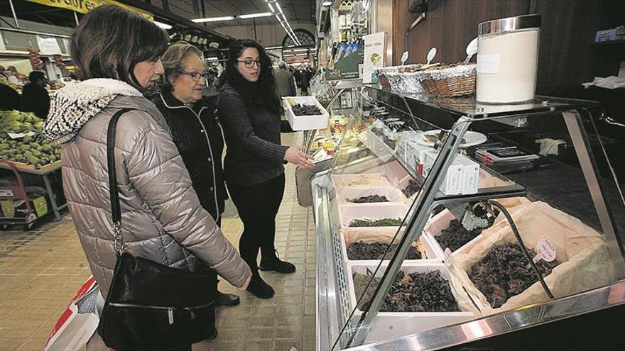 Algas, las verduras del mar, un mundo por descubrir