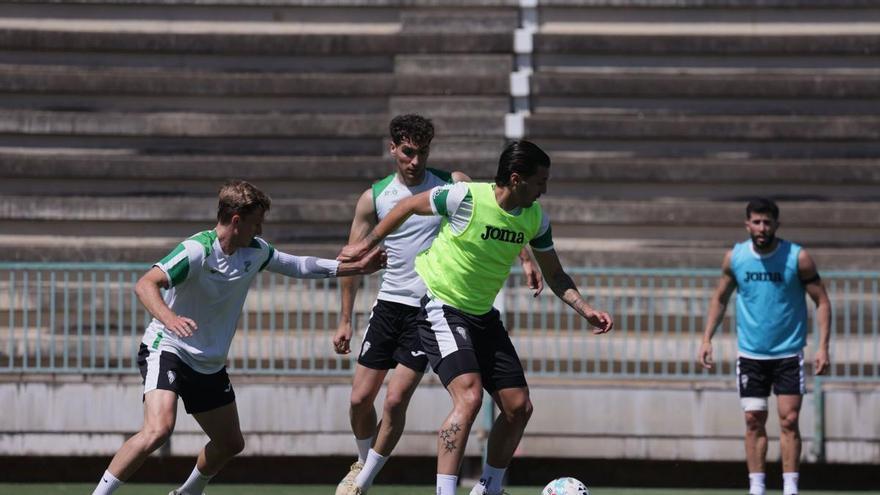 Córdoba CF-Albacete: altas, bajas y posibles alineaciones para el partido en El Arcángel