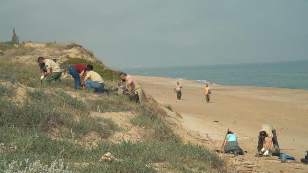 Un semillero para salvar las plantas en extinción