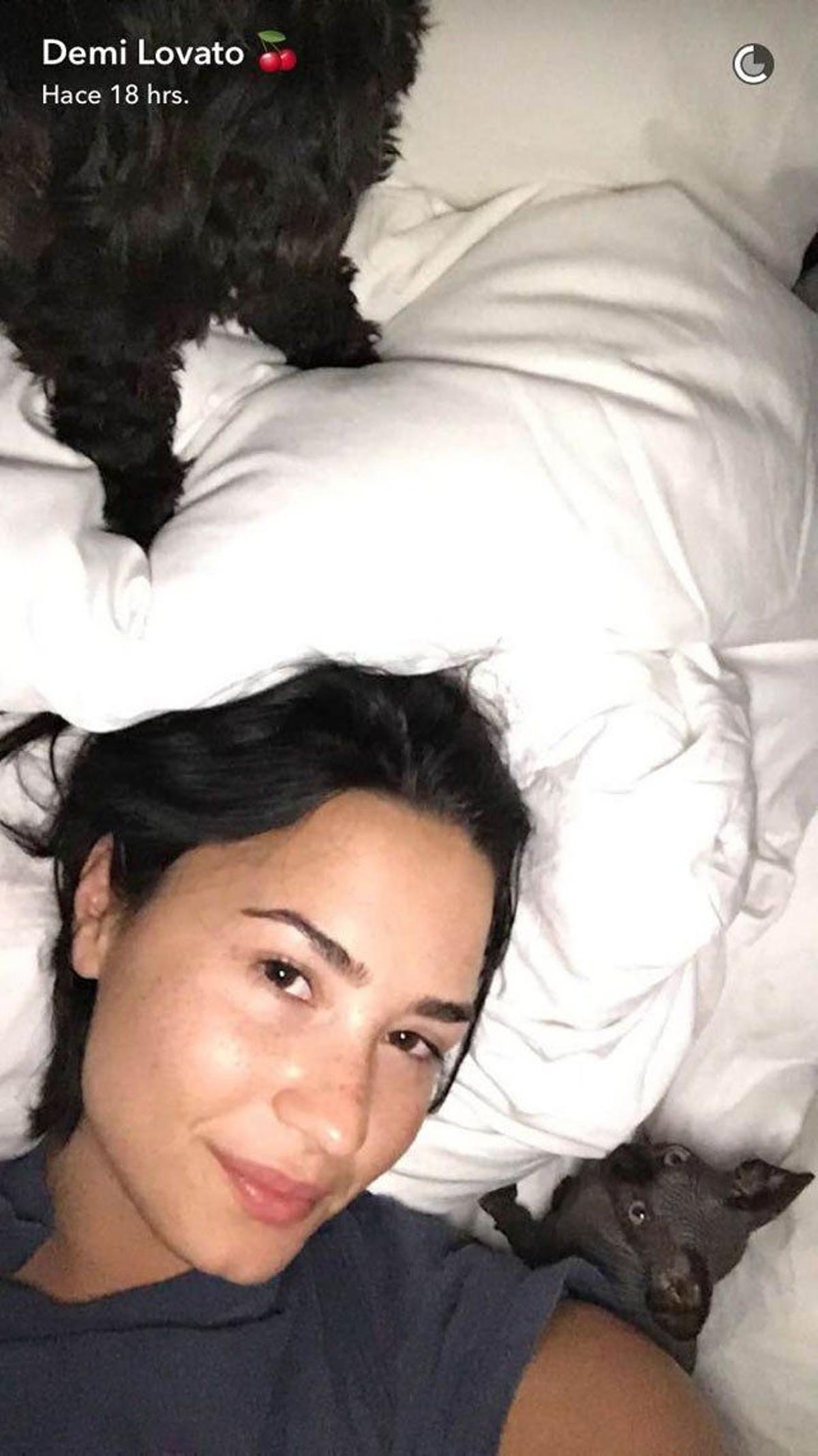 Demi Lovato ha presentado a su nueva mascota en Snapchat