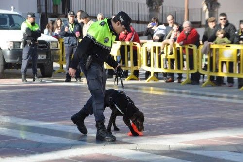 Exhibición canina en Cieza