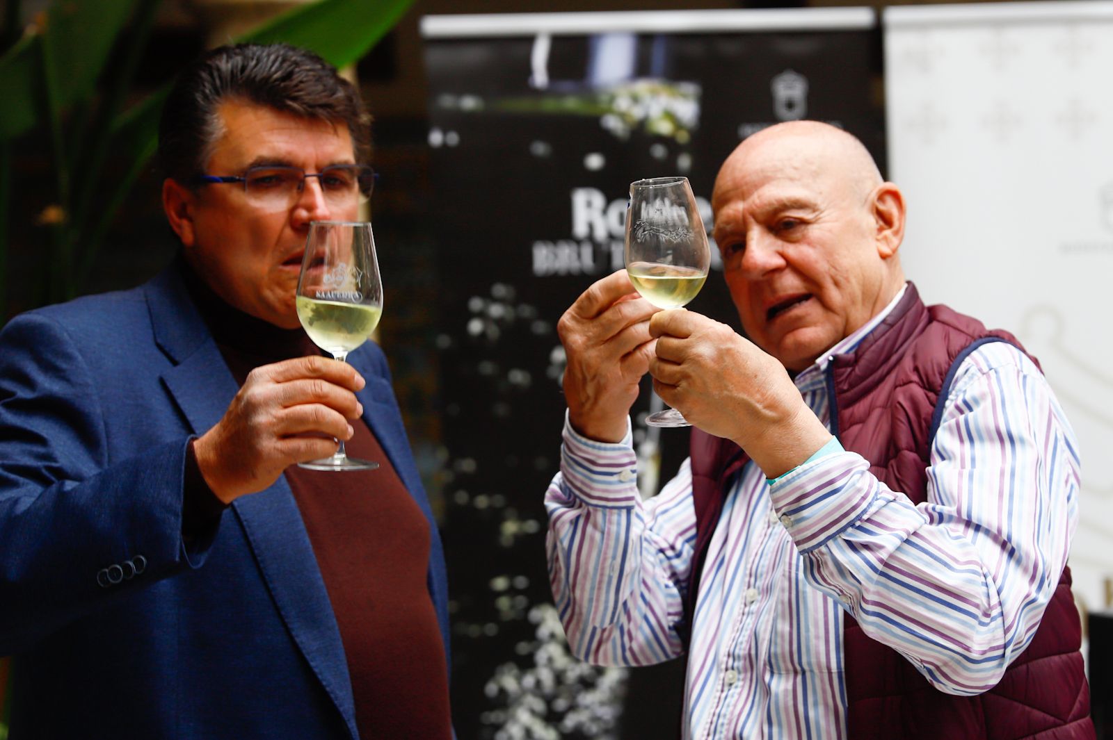 Once bodegas de Montilla-Moriles presentan sus vinos en rama del 2023