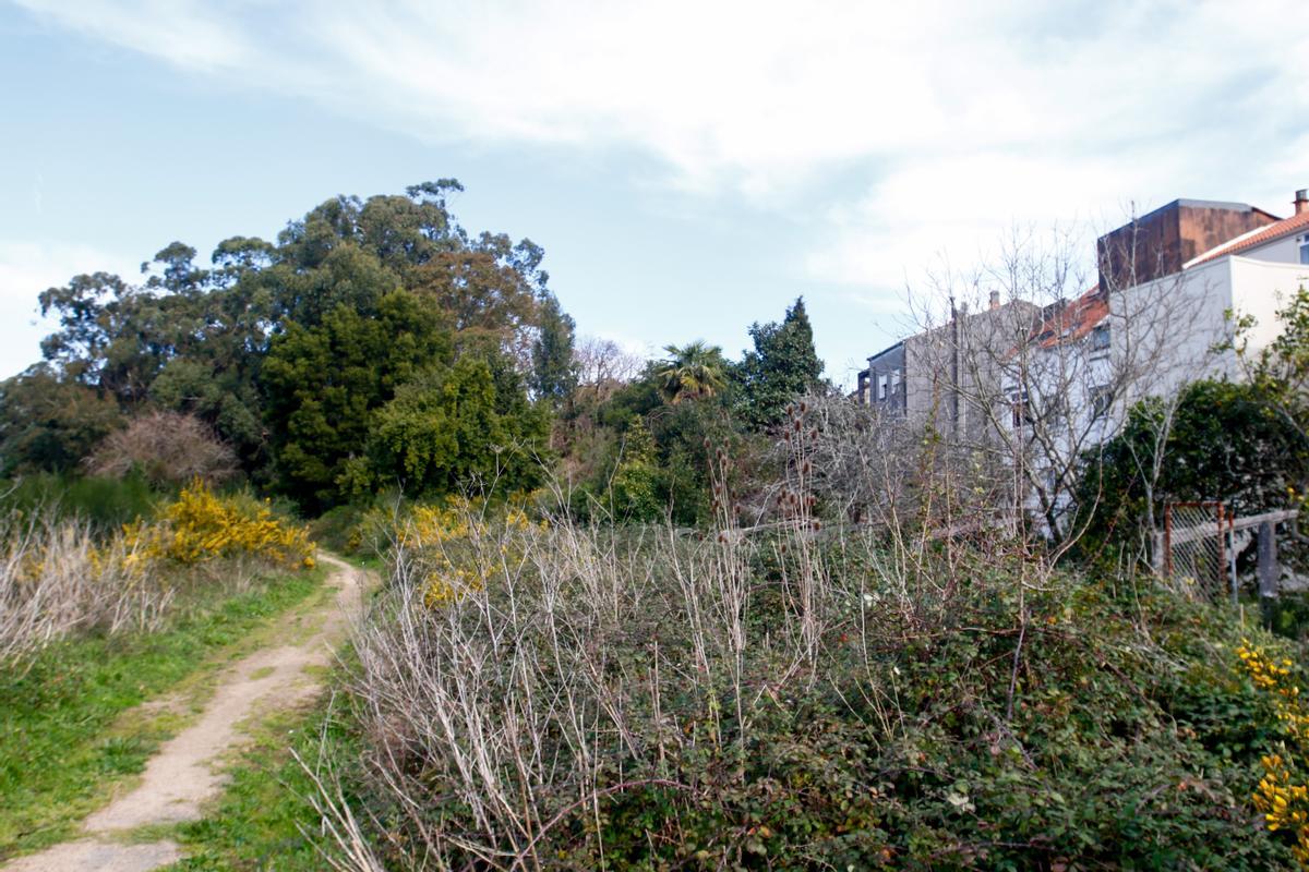 La zona lindante al parque de Castro de Alobre, al fondo.
