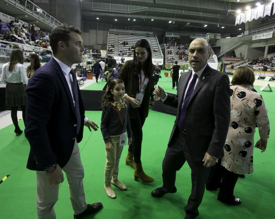 Homenaje a las gimnastas olímpicas alicantinas