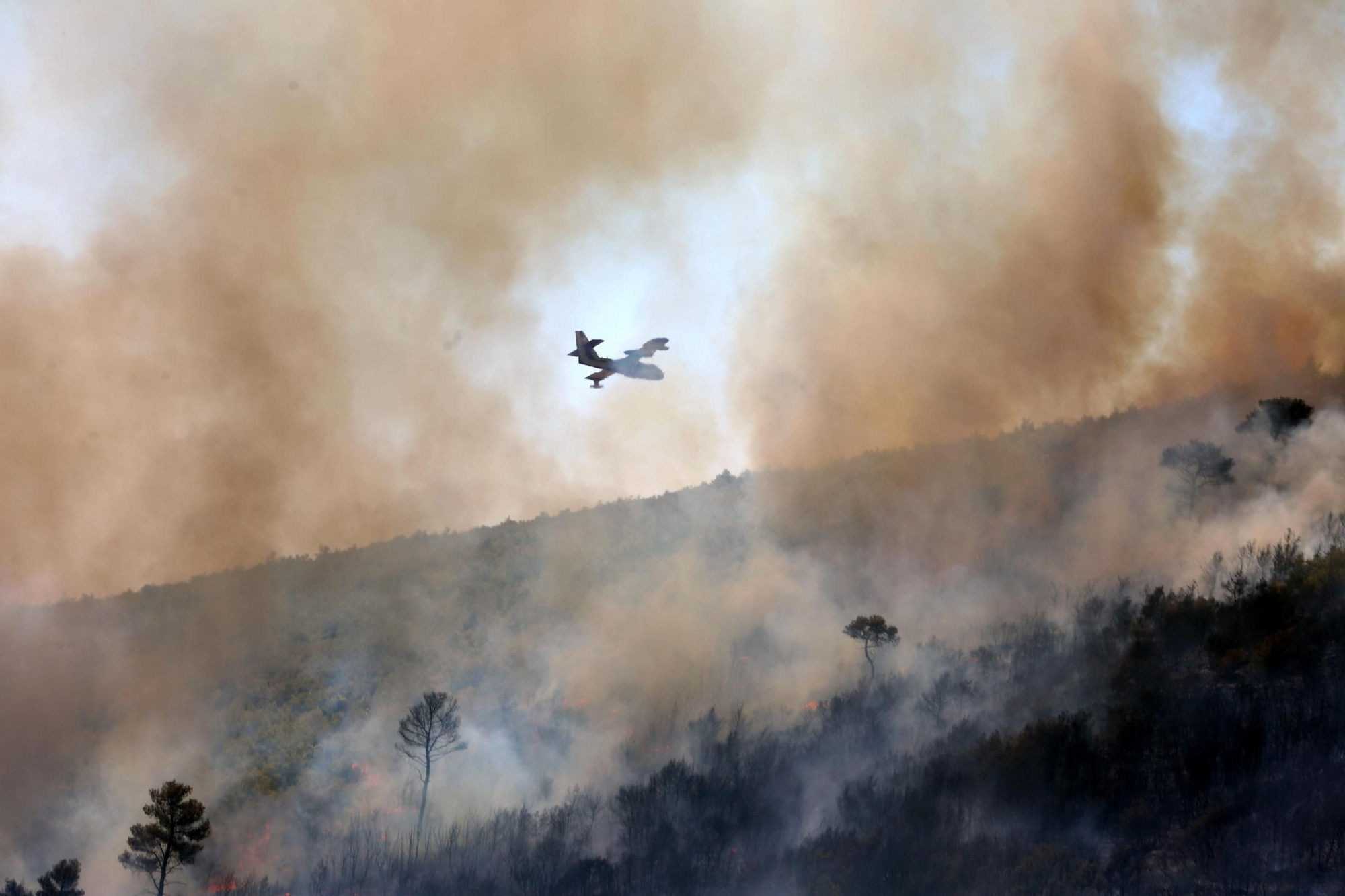 Wildfire in Greece's Attica region