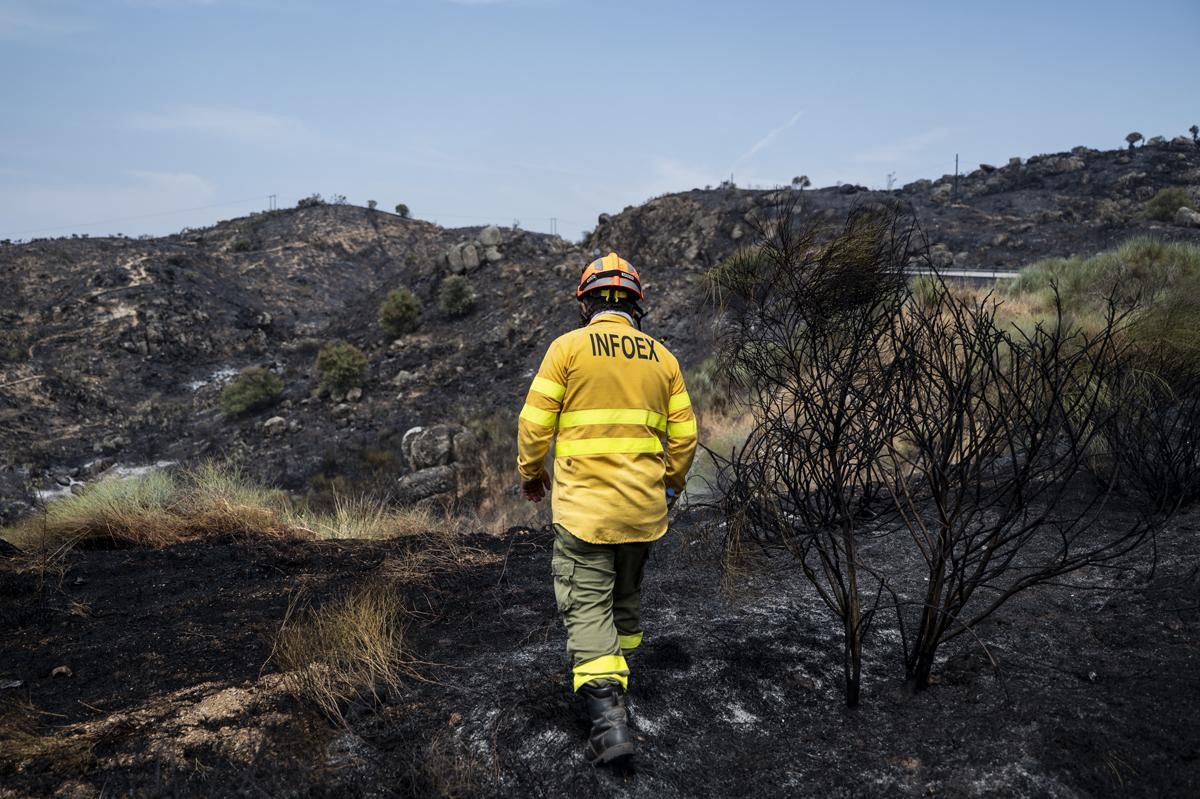 Fotogalería | Así ha sido el incendio forestal en Garrovillas de Alconetar