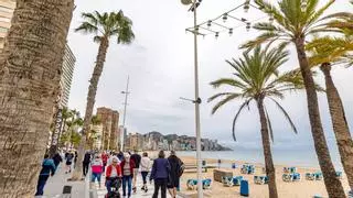 Adiós a la antigua catenaria de Levante: Benidorm inicia el cambio de luminarias del paseo