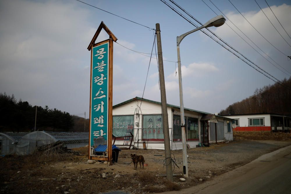 L'aspecte fantasmagògric predomina a les instal·lacions abandonades de l'estació d'esquí Alps Ski Resort, a Corea del Sud, tancat des del 2006.