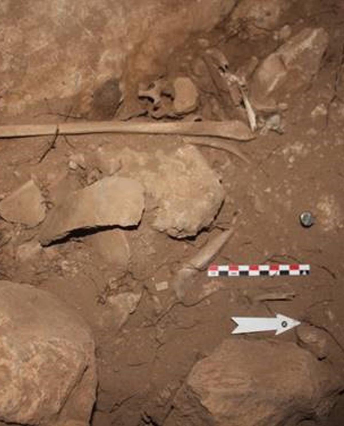 Restos óseos y cerámicos hallados en Cova do Santo.