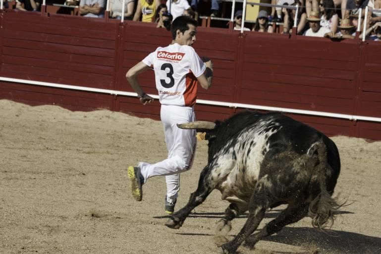 Concurso de cortes en la Plaza de Toros de Benaven