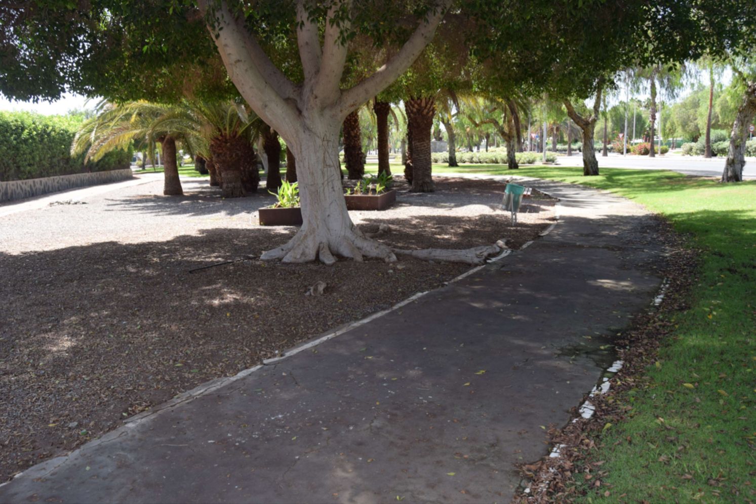 Estado en que se encuentra el carril bici del Campo Internacional de Maspalomas.