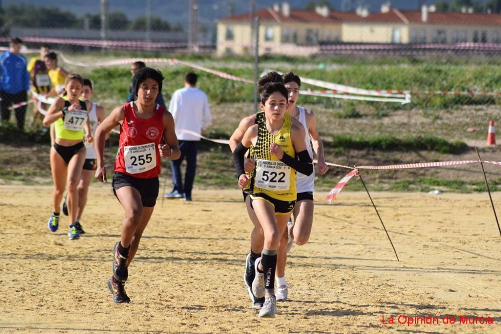 Cross de Jumilla 2