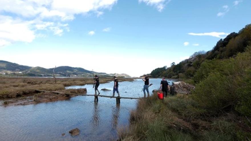 El latido de Urdaibai