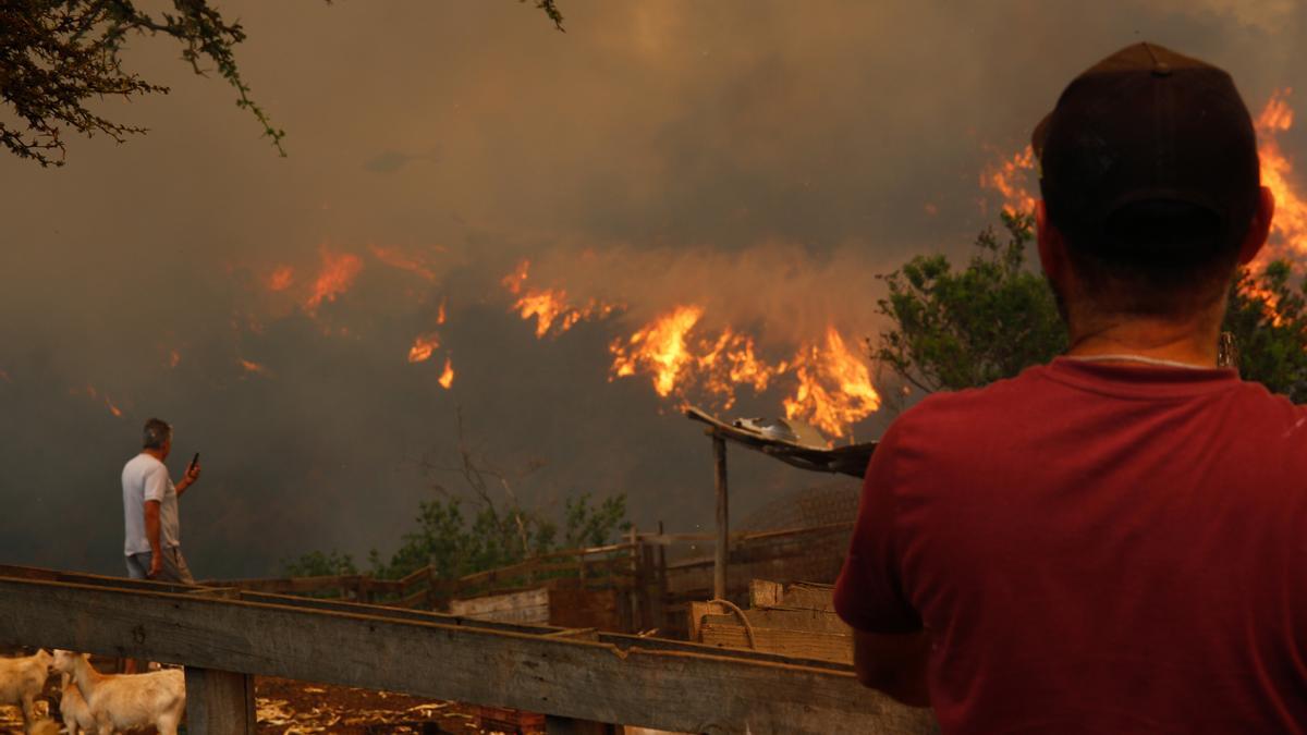 Incendios forestales causan daños en Chile.