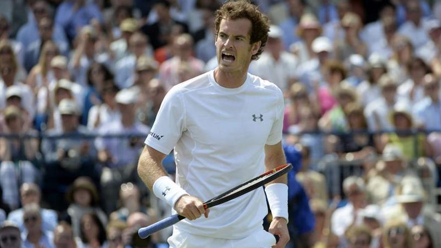 Murray apunta a su sexta corona en un Queen&#039;s sin Nadal ni Del Potro