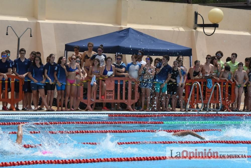 Final del Campeonato regional de natación.