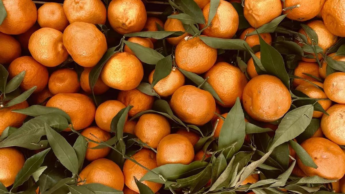 Los beneficios para la salud de las mandarinas.