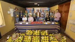 Del campo a la mesa: Spar comercializa 250.000 kilos de naranjas de Telde