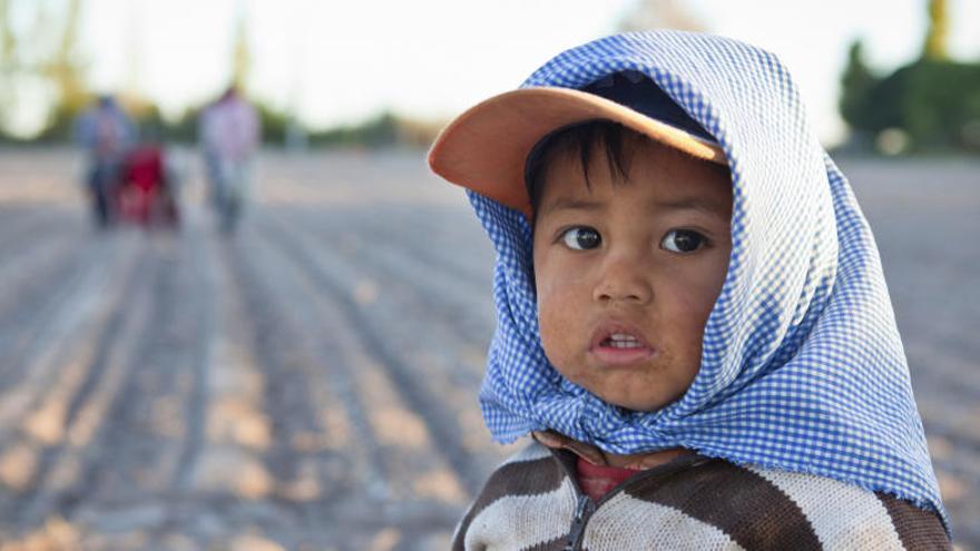 Más de 12 millones de niños latinoamericanos trabajan.