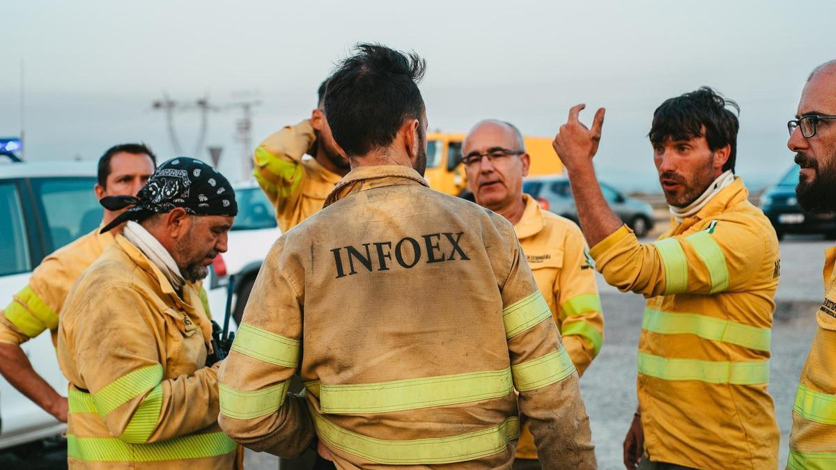 Efectivos del Plan Infoex.