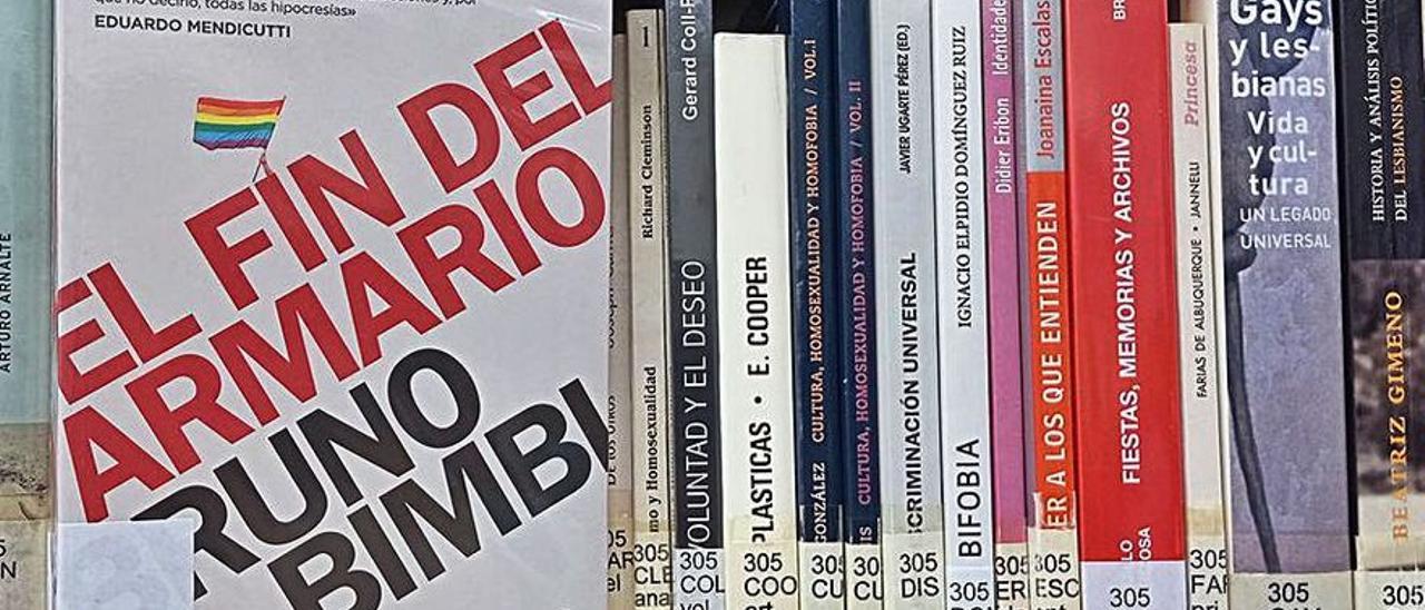 Los libros de temática LGTBI sobre los que pesaba la suspensión cautelar