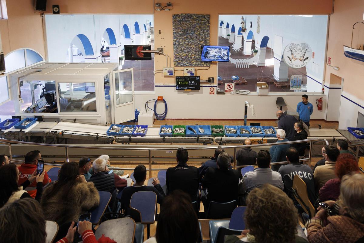 La Lonja de Pescado de Santa Lucía, es el centro neurálgico de la comercialización de productos del mar frescos en la zona
